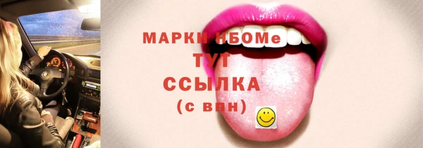 дурь Бородино