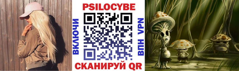 Галлюциногенные грибы Psilocybe Южно-Сахалинск