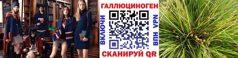 Псилоцибиновые грибы GOLDEN TEACHER  цена наркотик  Южно-Сахалинск 